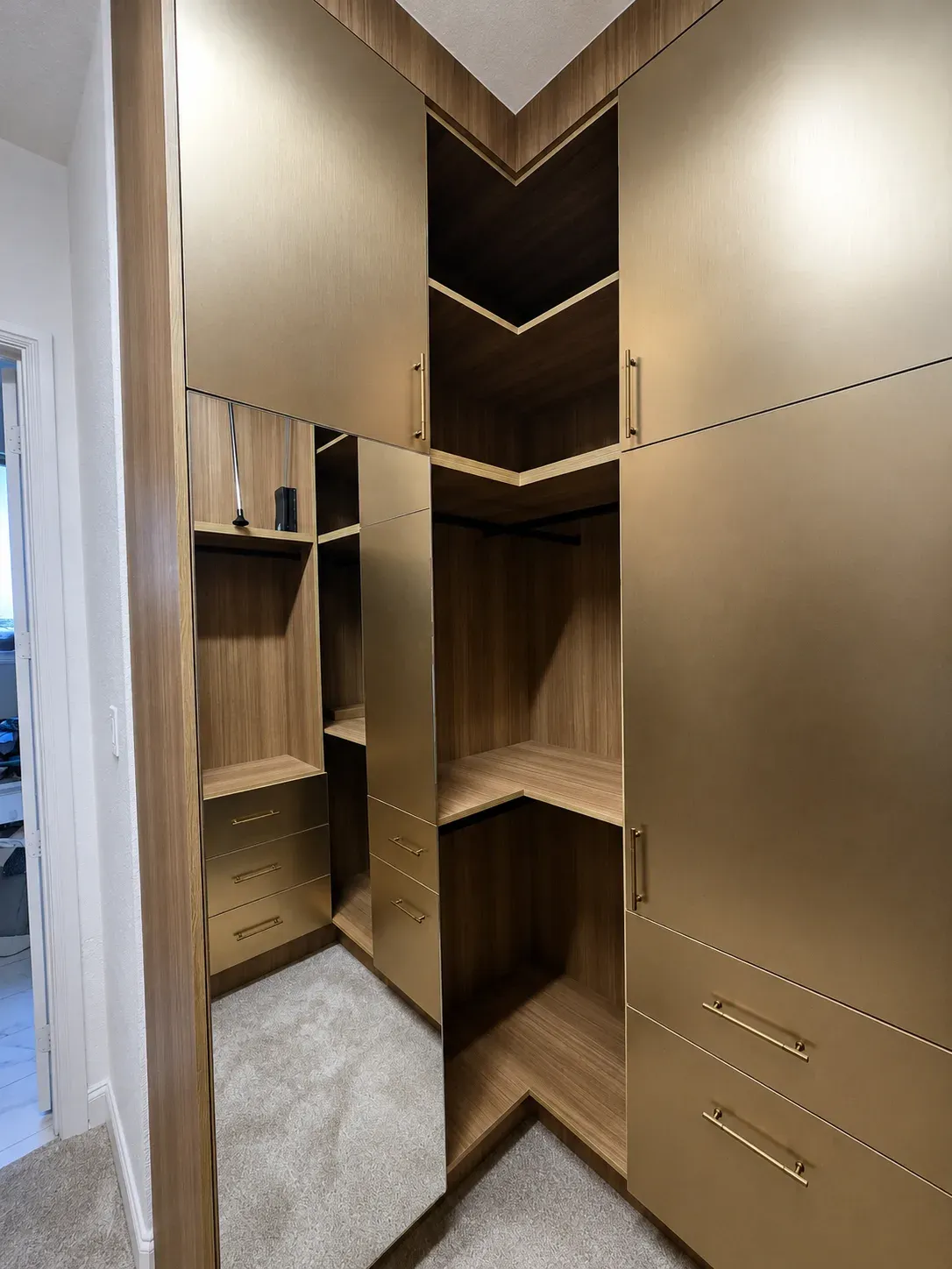 Champagne & Oak Walk-In Closet, view 6